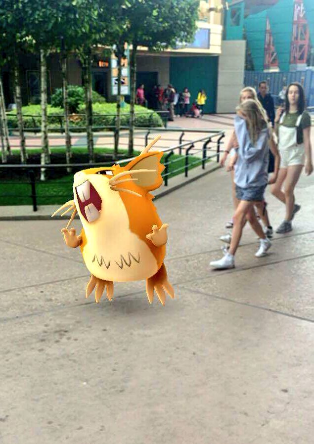 Raticate found in Discoveryland at Disneyland Paris PC: ED92 Twitter
