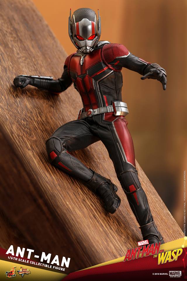 Ant-Man - Ant-Man and the Wasp - Hot Toys 1/6 Scale Figure