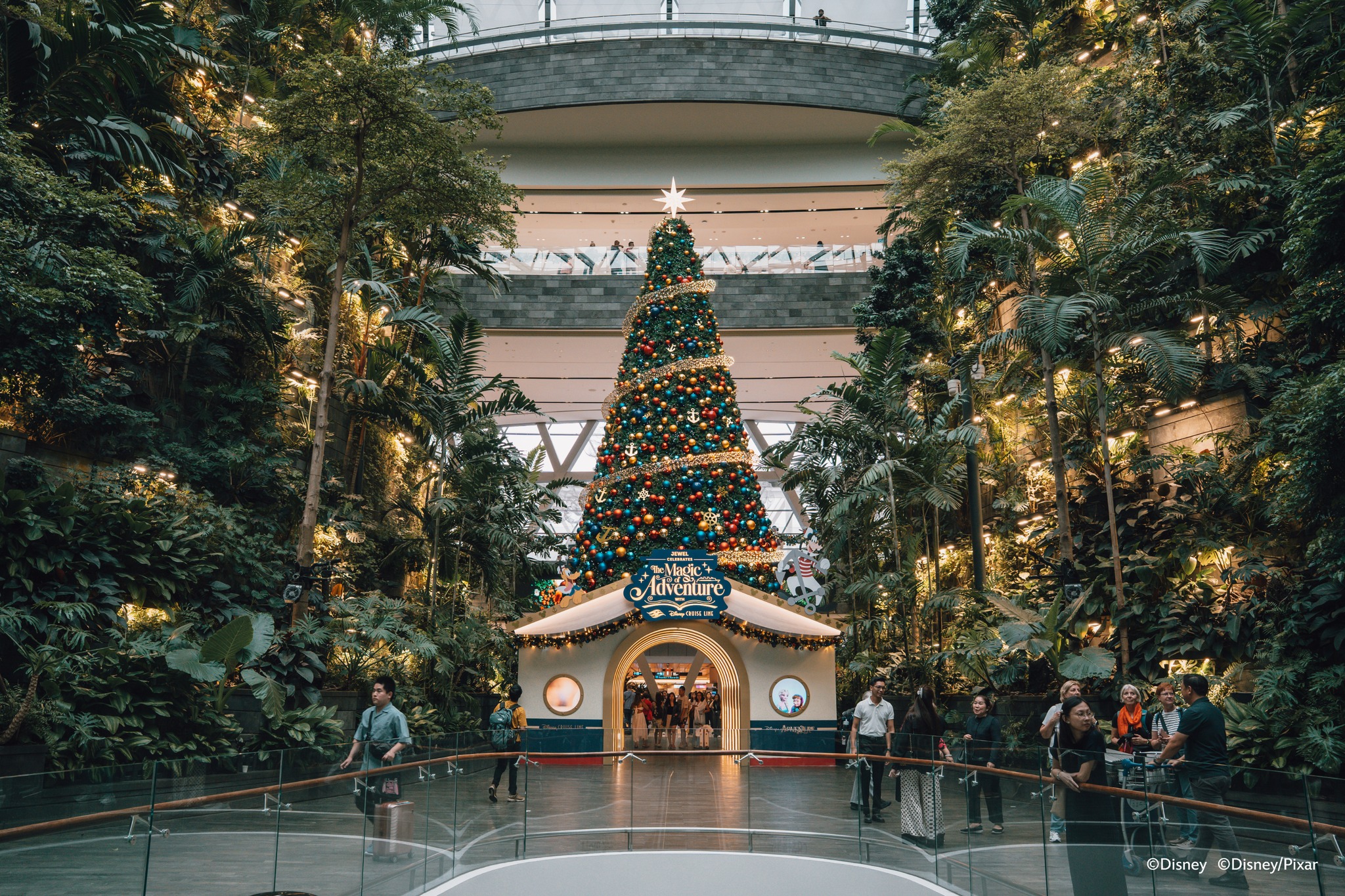 A Christmas tree surrounded by walls of plants, directing the eye to a small building.