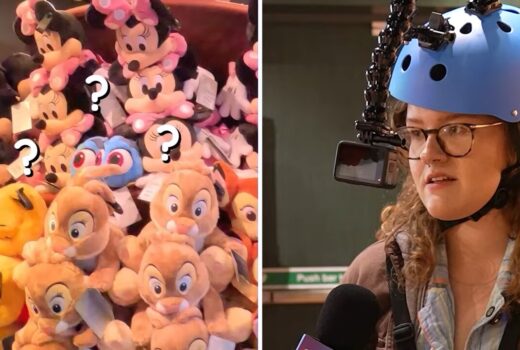The left half has a plush pile with a Dory, surrounded by question marks. The right has a young woman with a helmet camera.