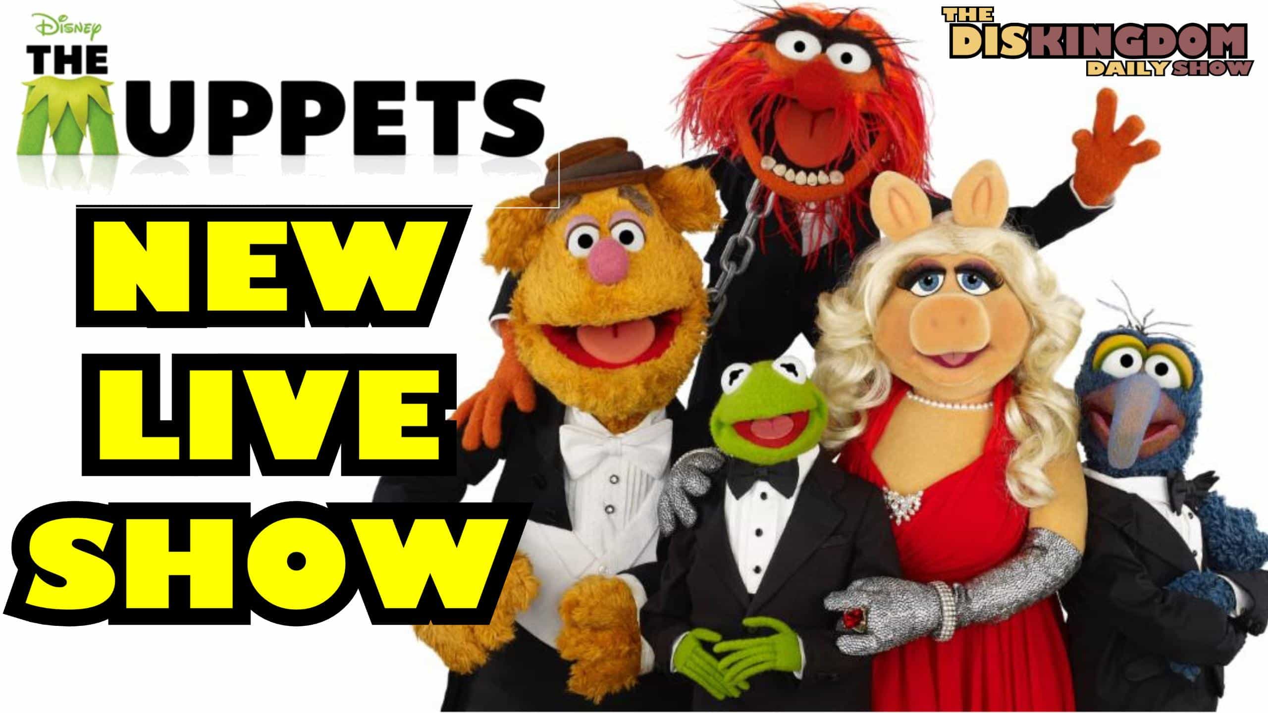 new muppets live show