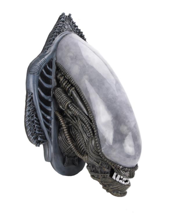 Alien Xenomorph Foam Replica Wall-Mounted Bust Coming Soon – DisKingdom.com