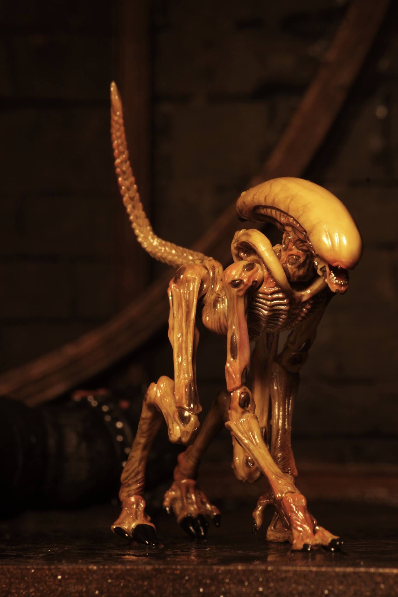Alien Movie Uk 3 Accessory Pack Creature Pack Coming Soon